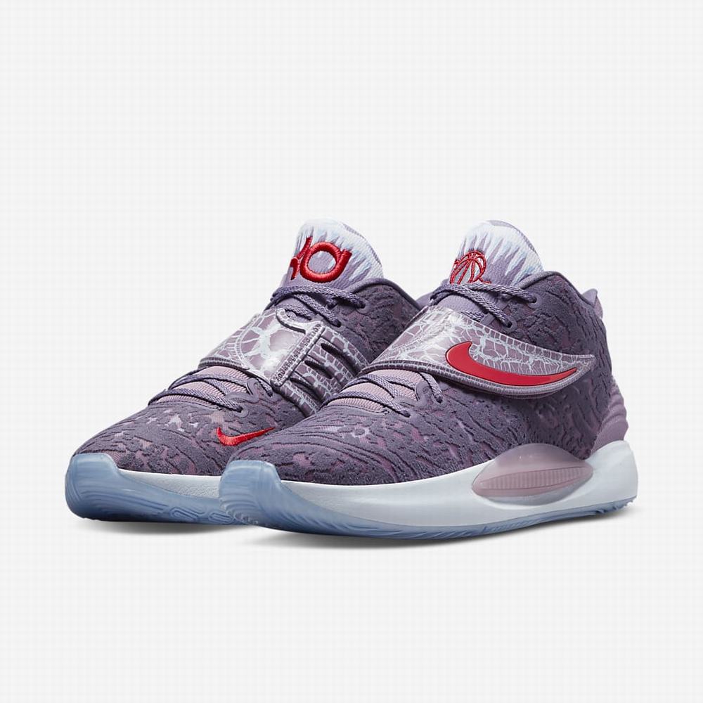 Basketbalove Tenisky Nike KD14 Damske Viacfarebný | SK920743