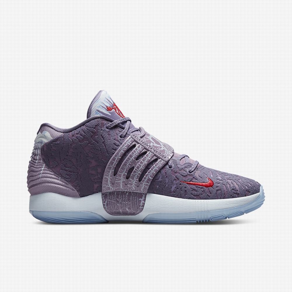 Basketbalove Tenisky Nike KD14 Panske Viacfarebný | SK146923