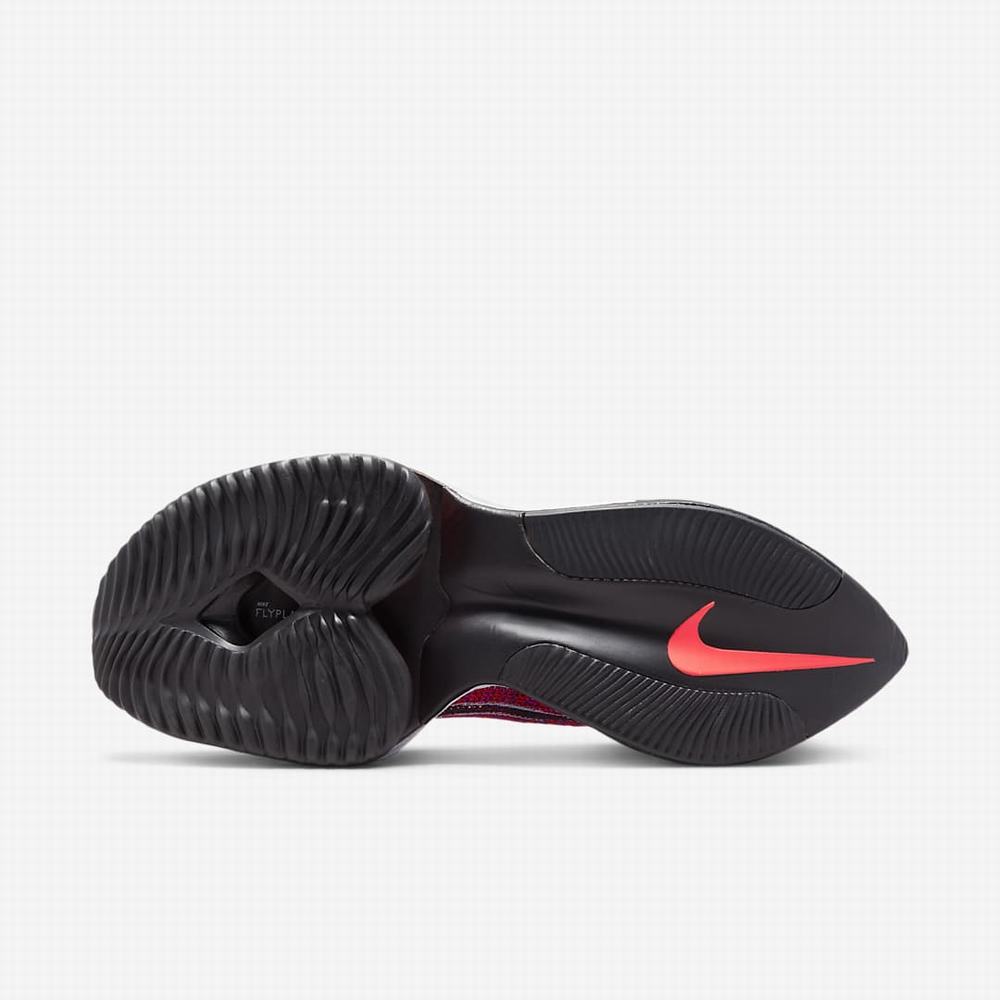 Bezecke Topanky Nike Air Zoom Alphafly NEXT% Flyknit Damske Nachový Červené Čierne | SK148970