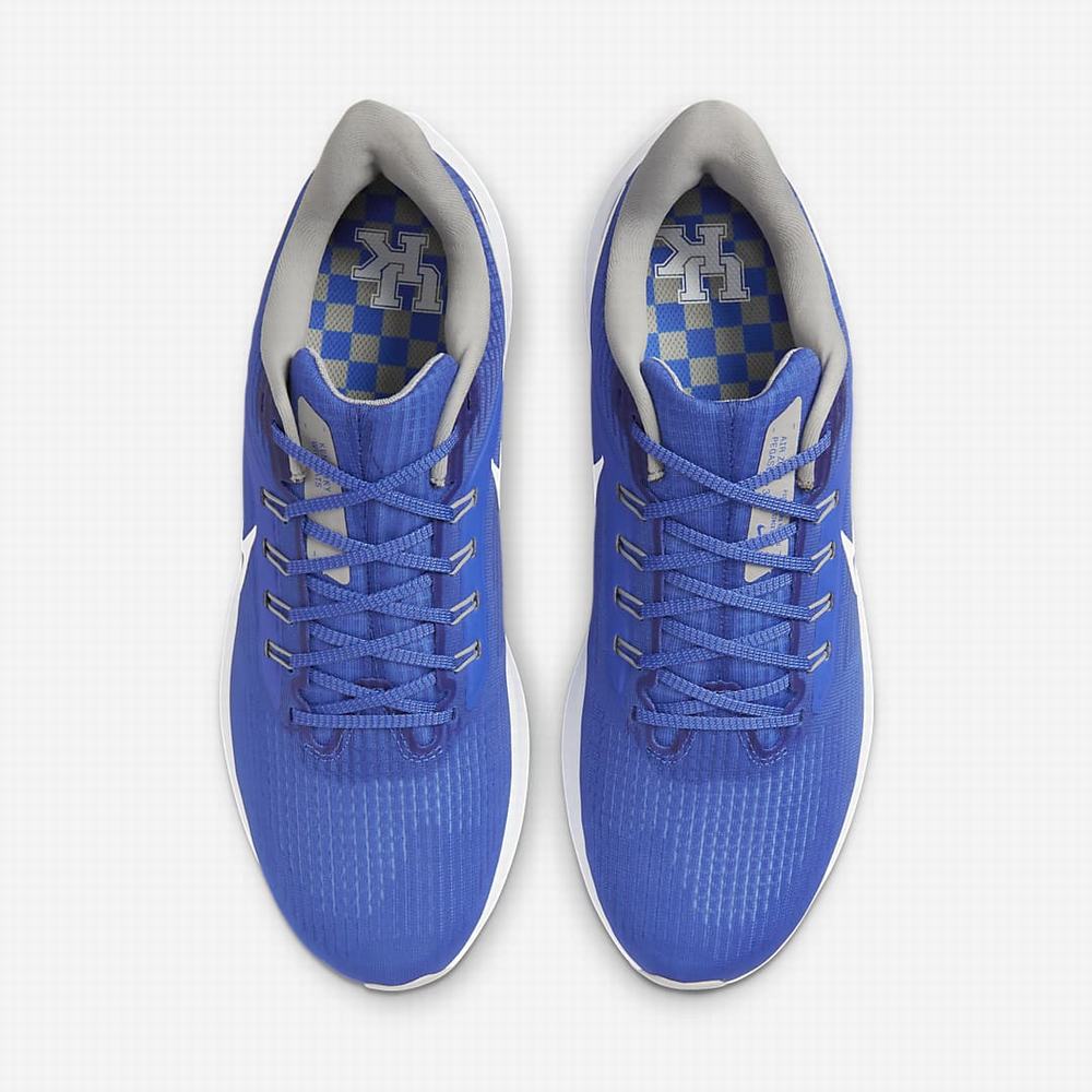 Bezecke Topanky Nike Air Zoom Pegasus 39 (Kentucky) Panske Kráľovská Modrá Biele | SK365981