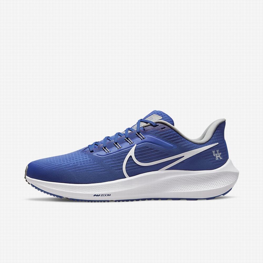 Bezecke Topanky Nike Air Zoom Pegasus 39 (Kentucky) Panske Kráľovská Modrá Biele | SK365981