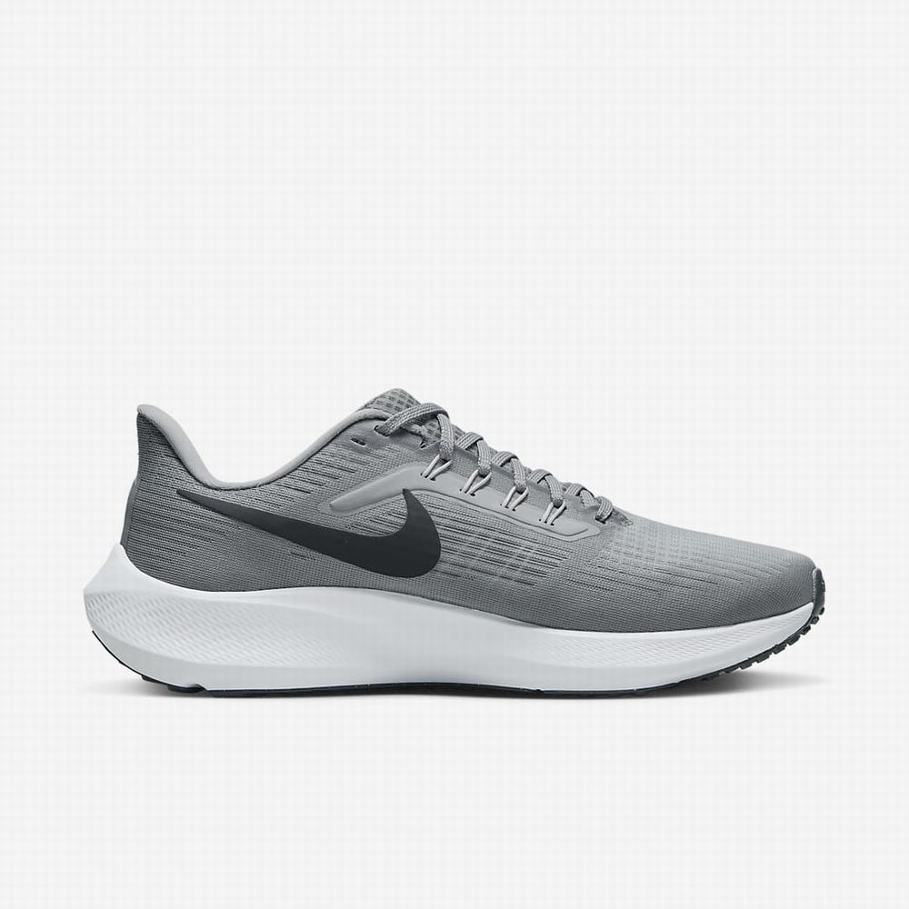 Bezecke Topanky Nike Air Zoom Pegasus 39 Panske Siva Svetlo Siva Siva | SK940673