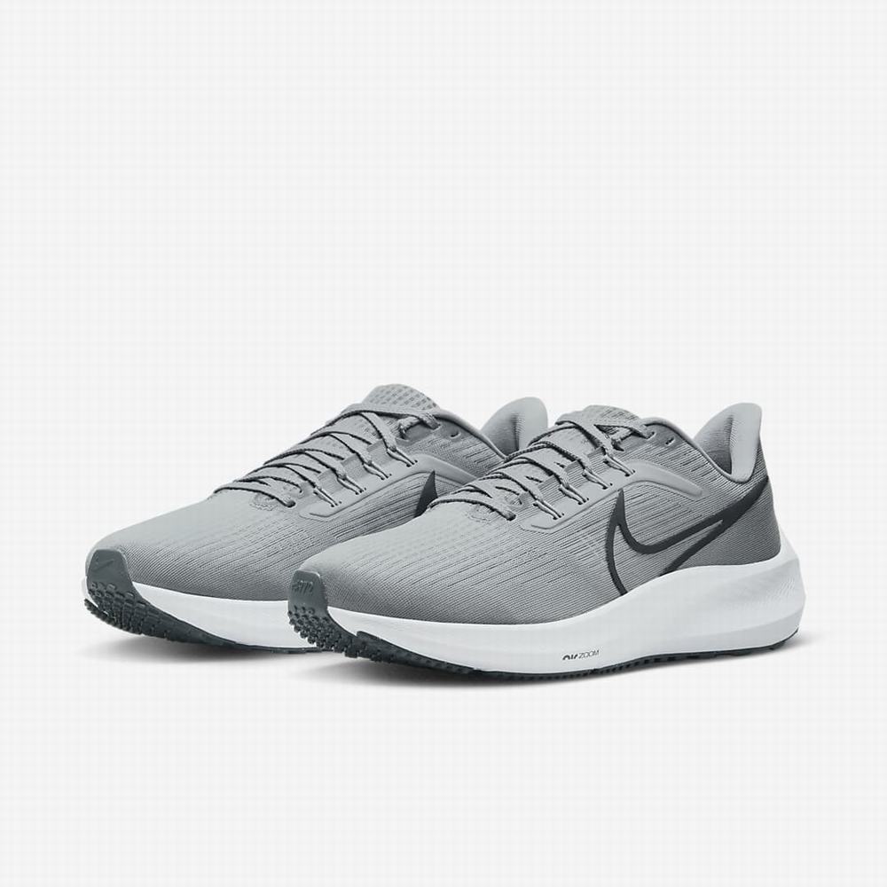 Bezecke Topanky Nike Air Zoom Pegasus 39 Panske Siva Svetlo Siva Siva | SK940673