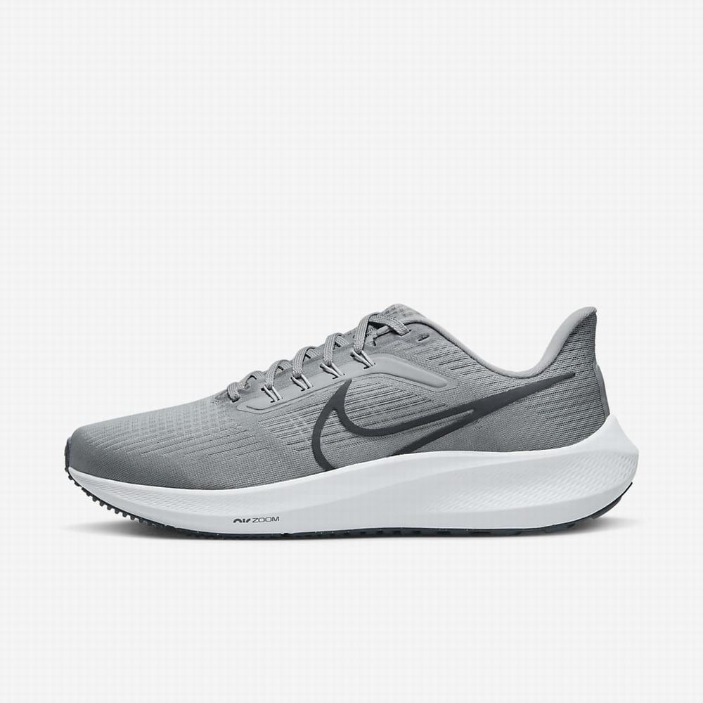 Bezecke Topanky Nike Air Zoom Pegasus 39 Panske Siva Svetlo Siva Siva | SK940673