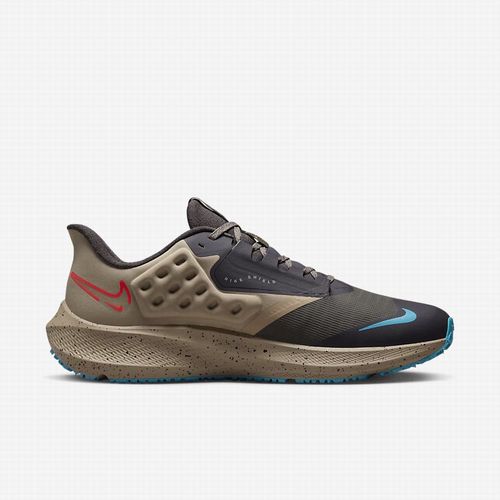 Bezecke Topanky Nike Air Zoom Pegasus 39 Shield Panske Siva Hnedožltý Nachový Svetlo Červené | SK956803