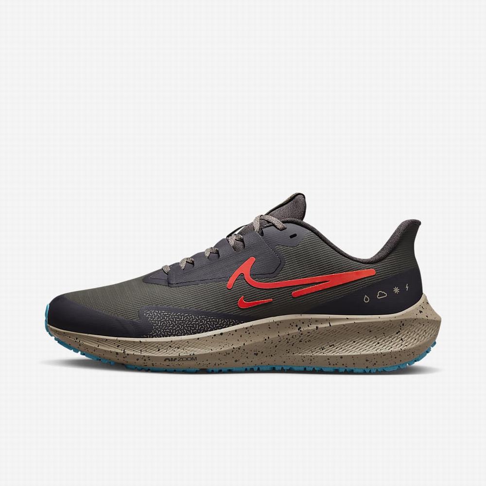 Bezecke Topanky Nike Air Zoom Pegasus 39 Shield Panske Siva Hnedožltý Nachový Svetlo Červené | SK956803