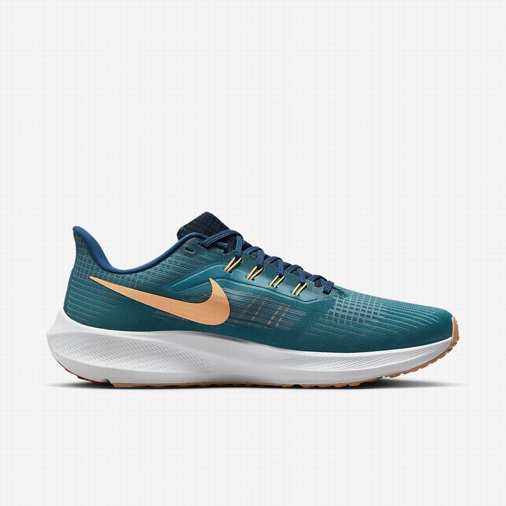 Bezecke Topanky Nike Air Zoom Pegasus 39 Panske Zelene Modre Svetlo Červené | SK970654