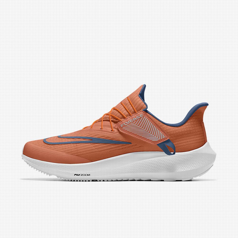 Bezecke Topanky Nike Air Zoom Pegasus FlyEase By You Panske Viacfarebný | SK031586