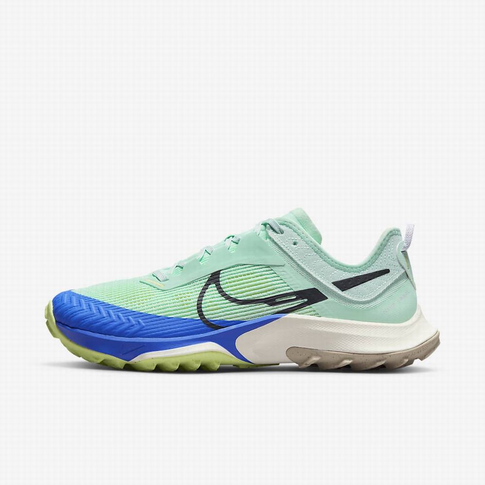 Bezecke Topanky Nike Air Zoom Terra Kiger 8 Damske Mätové Siva Modre | SK358024