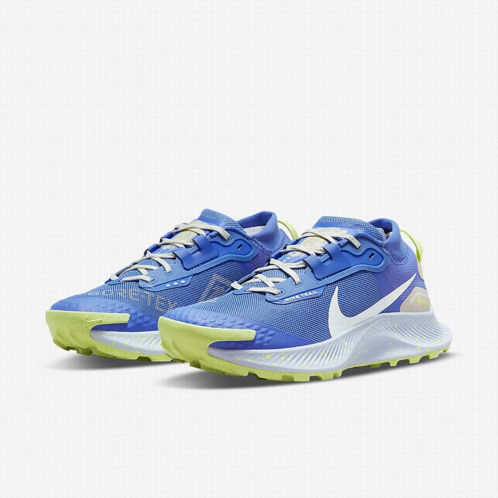 Bezecke Topanky Nike Pegasus Trail 3 GORE-TEX Damske Modre Siva | SK218563