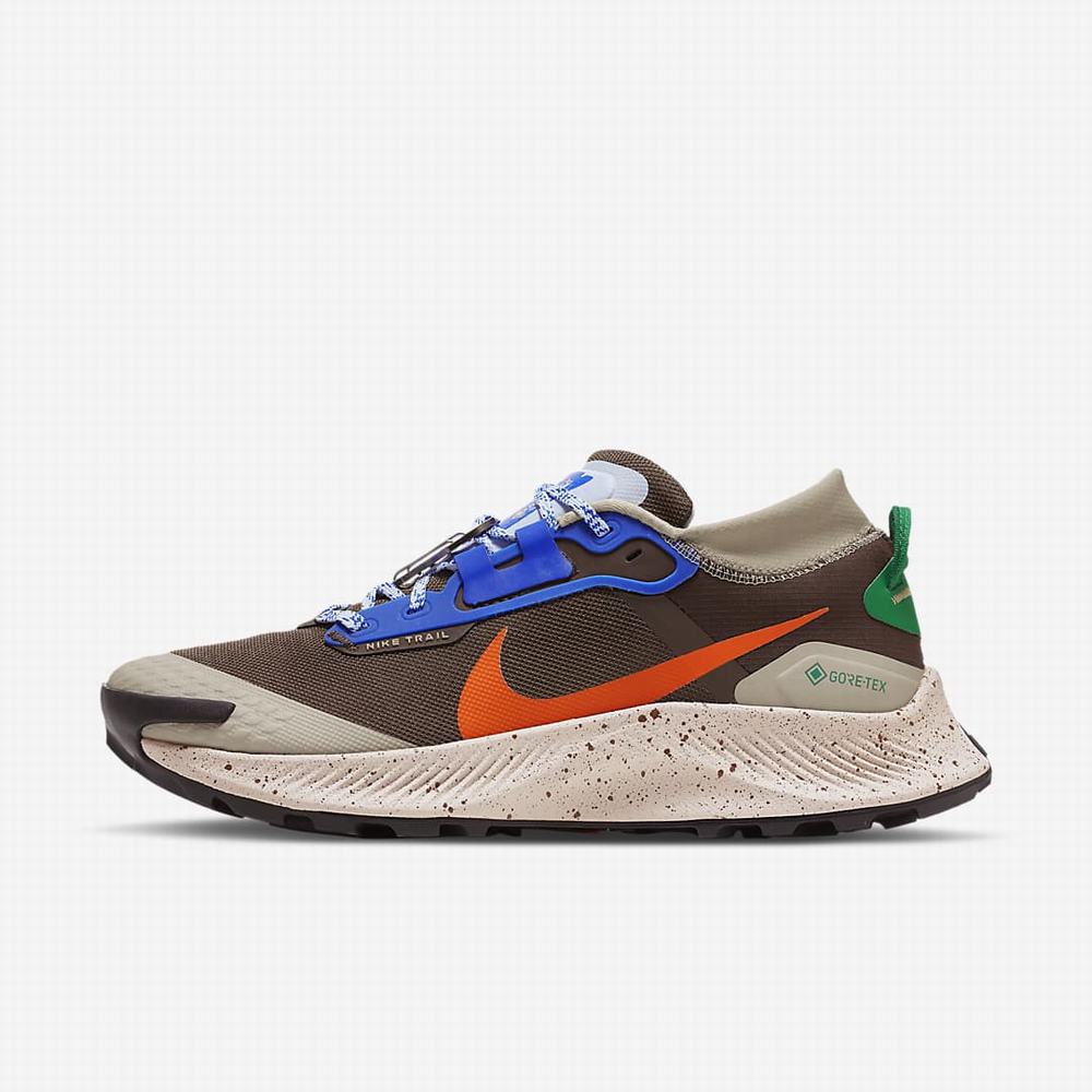 Bezecke Topanky Nike Pegasus Trail 3 GORE-TEX Panske Tmavo Hnede Kráľovská Modrá Oranžové | SK831269