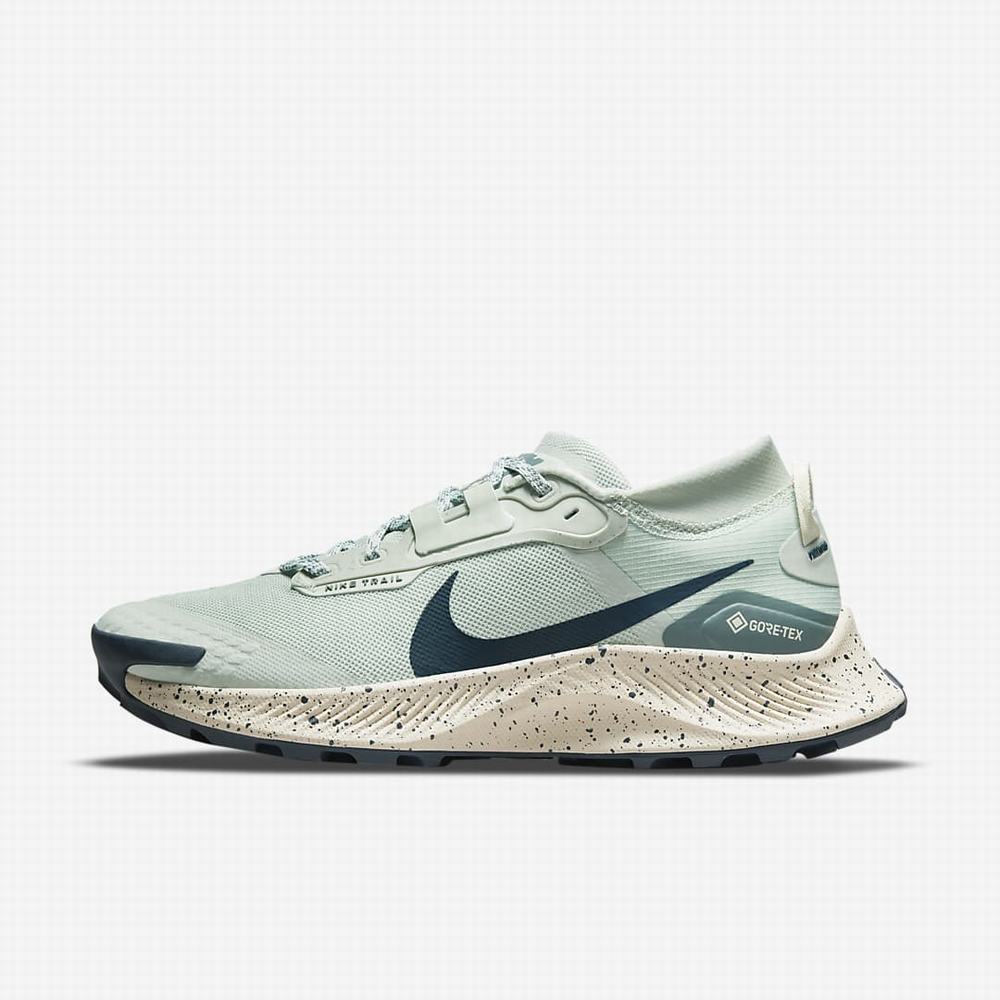 Bezecke Topanky Nike Pegasus Trail 3 GORE-TEX Damske Zelene Biele Námornícka Modrá | SK914307