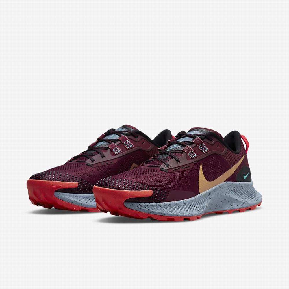 Bezecke Topanky Nike Pegasus Trail 3 Panske Tmavo Čierne Svetlo Červené Hnede | SK689150