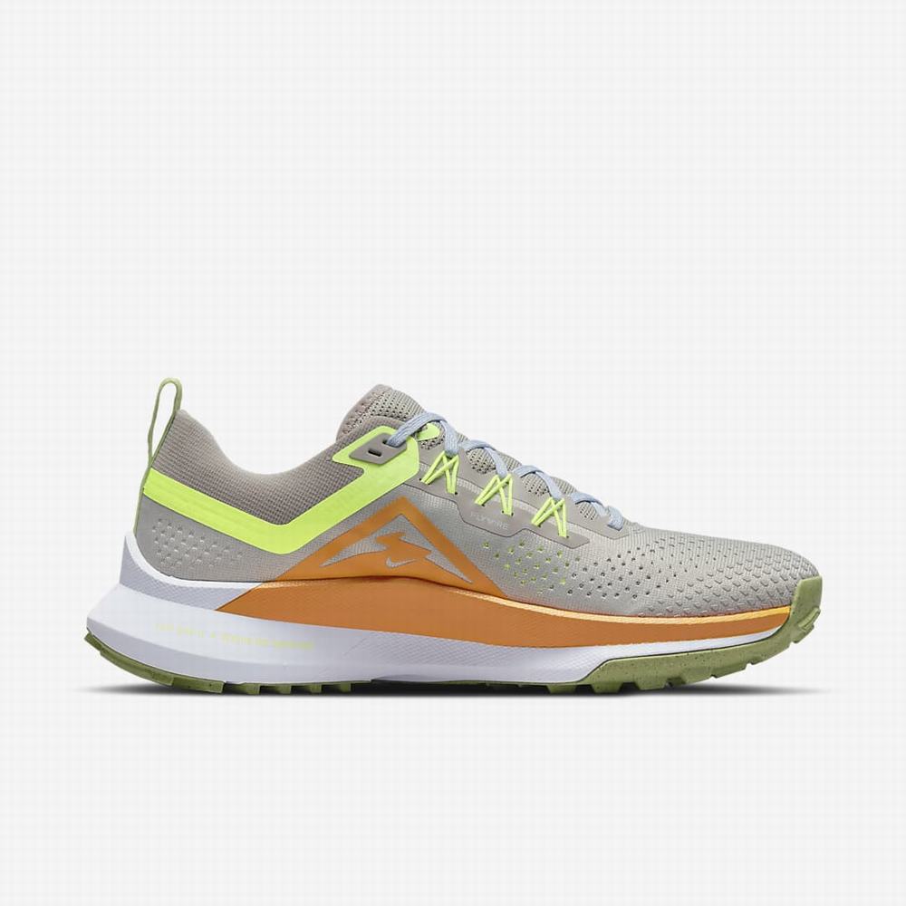 Bezecke Topanky Nike React Pegasus Trail 4 Panske Svetlo Siva Siva Siva | SK809362