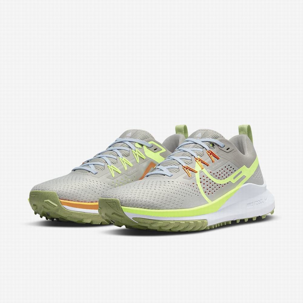 Bezecke Topanky Nike React Pegasus Trail 4 Panske Svetlo Siva Siva Siva | SK809362