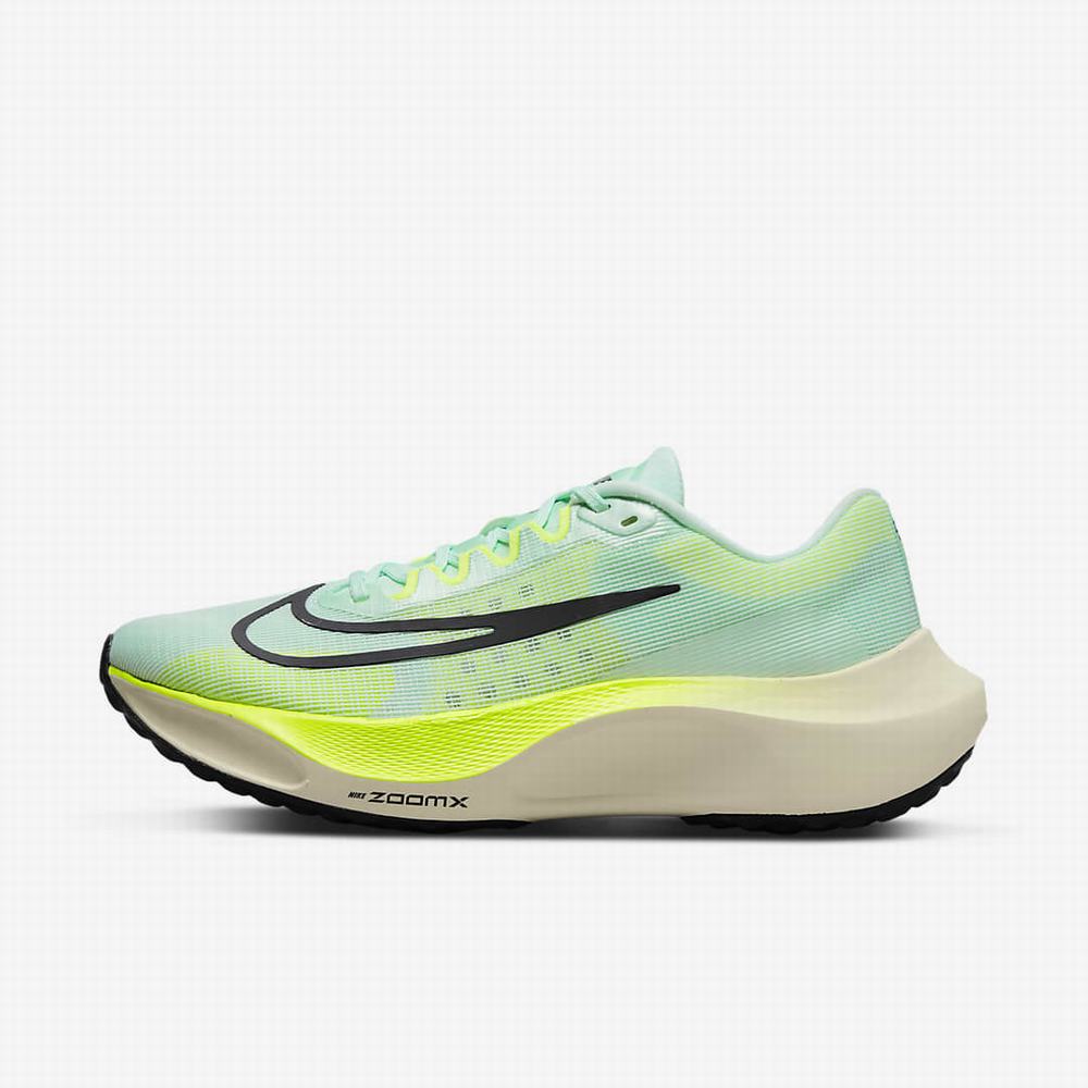 Bezecke Topanky Nike Zoom Fly 5 Panske Mätové Zelene Nachový | SK943052