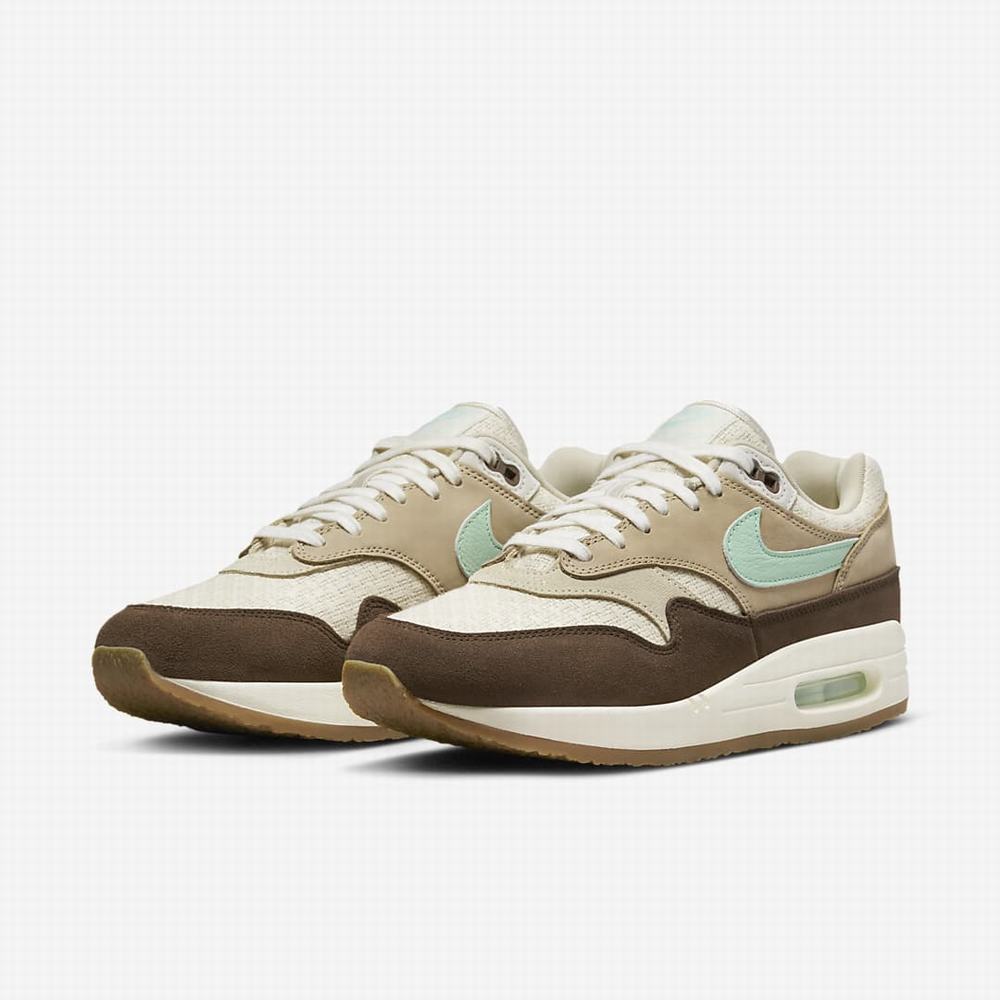 Tenisky Nike Air Max 1 Premium 2 Damske Hnede | SK215763