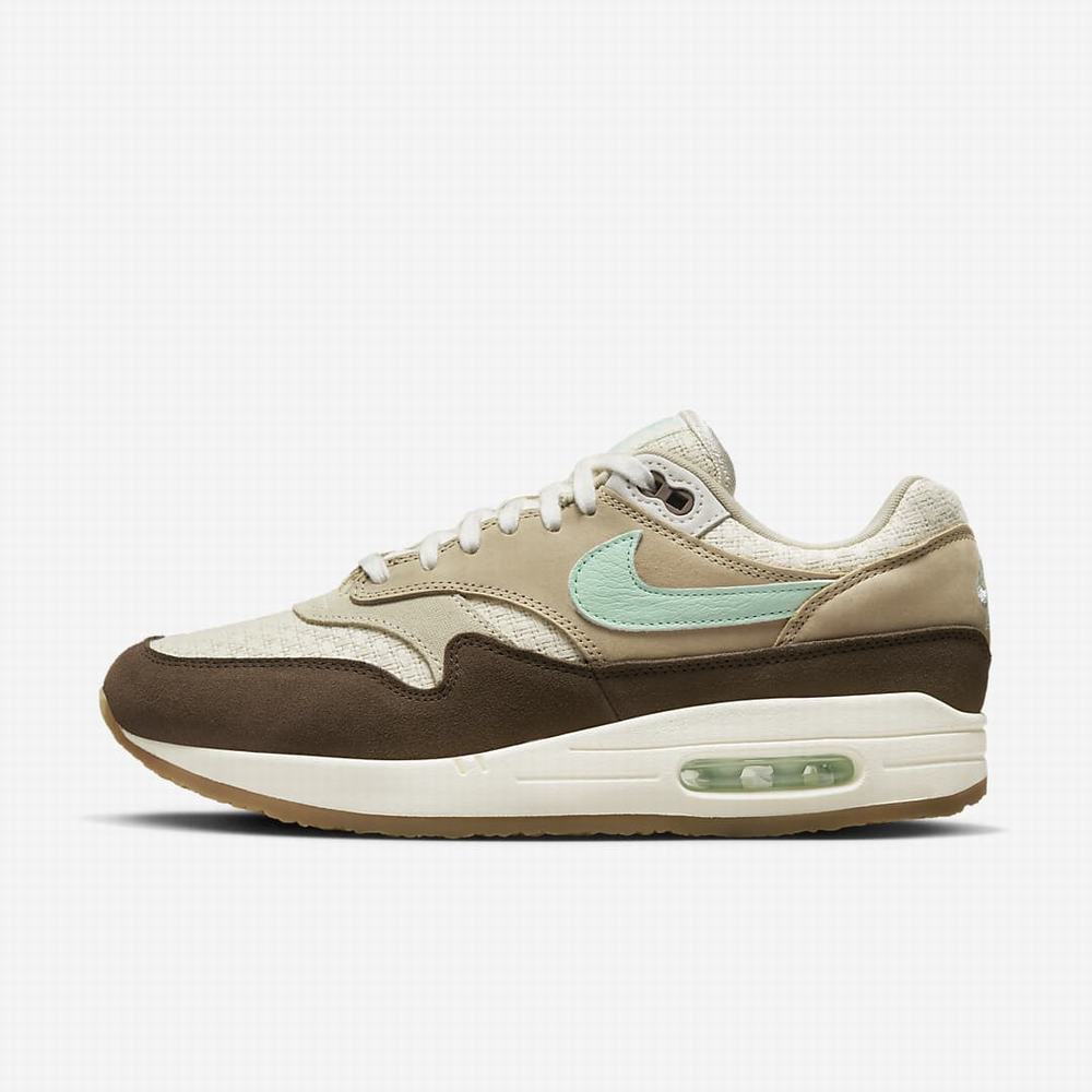 Tenisky Nike Air Max 1 Premium 2 Panske Hnede | SK327096