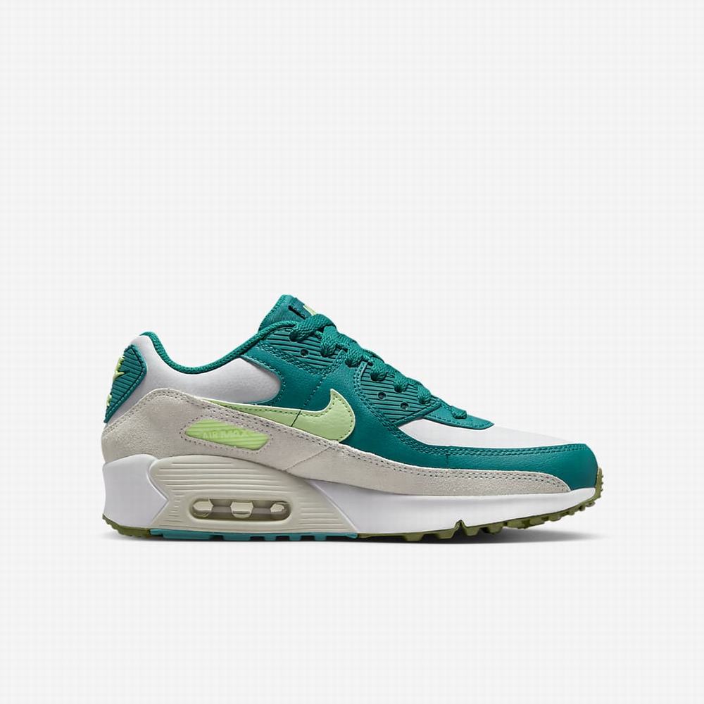 Tenisky Nike Air Max 90 LTR Detske Biele Svetlo | SK736284