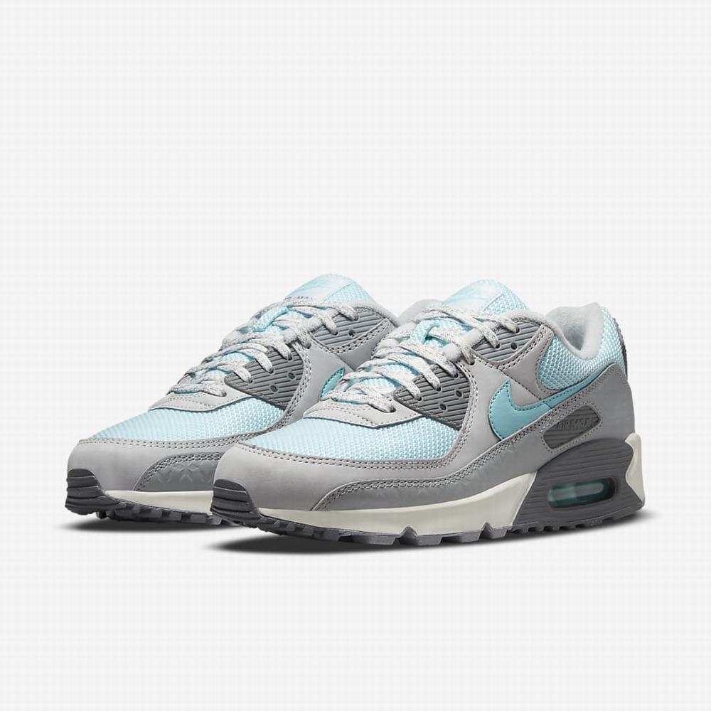 Tenisky Nike Air Max 90 Panske Siva Siva Platina | SK986254