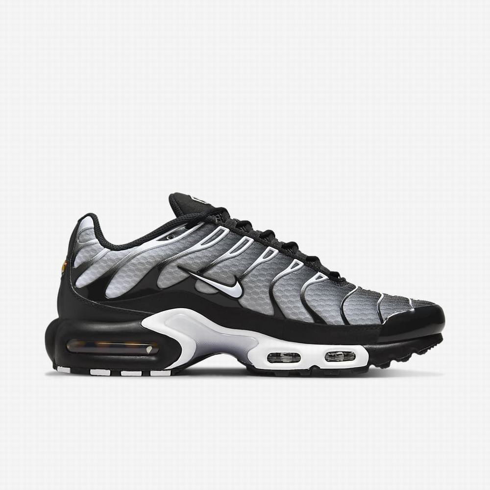 Tenisky Nike Air Max Plus Panske Čierne Metal Strieborne Biele | SK175836