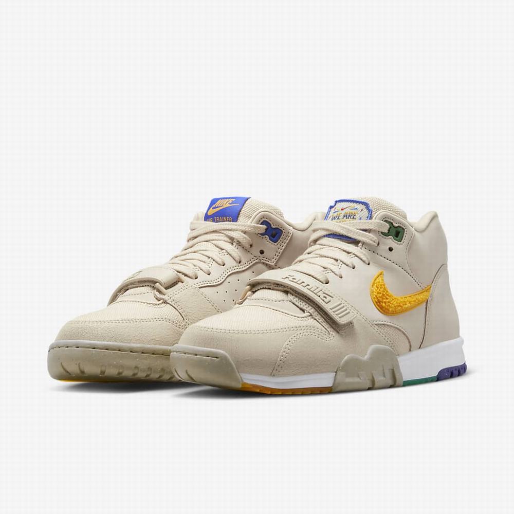 Tenisky Nike Air Trainer 1 Somos Familia Panske Hnede | SK462159