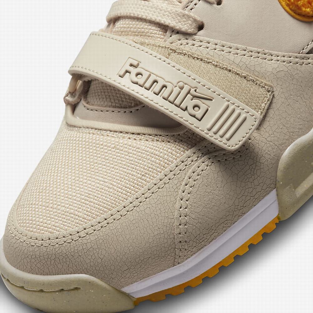 Tenisky Nike Air Trainer 1 Somos Familia Panske Hnede | SK462159