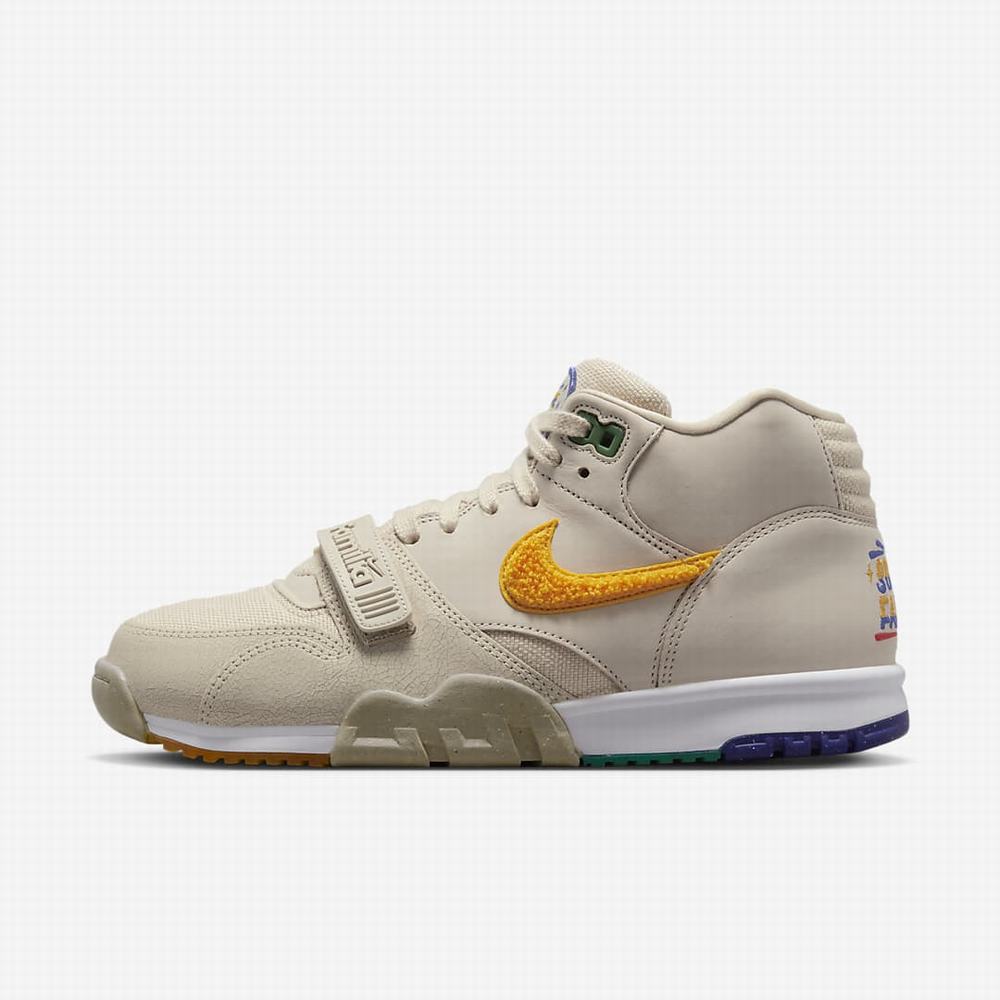 Tenisky Nike Air Trainer 1 Somos Familia Panske Hnede | SK462159