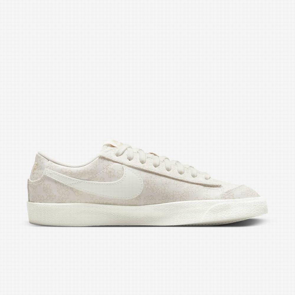 Tenisky Nike Blazer Low '77 SE Damske Béžové Viacfarebný | SK528419