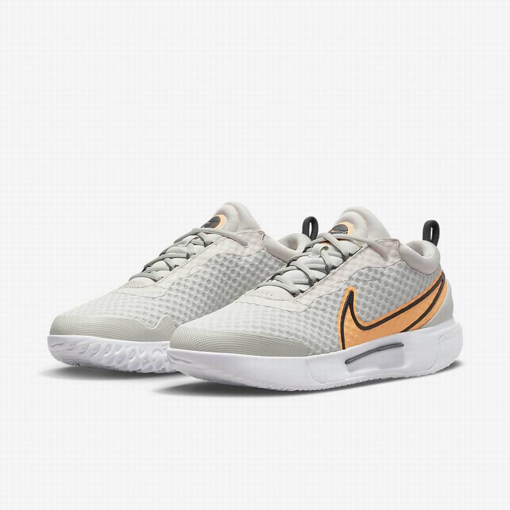 Tenisove Tenisky Nike NikeCourt Zoom Pro Hard Court Panske Svetlo Siva Tmavo Siva Biele Krém | SK047356