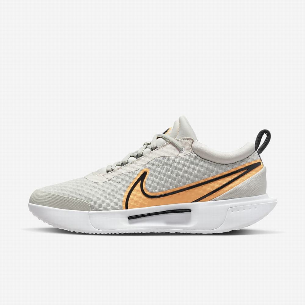 Tenisove Tenisky Nike NikeCourt Zoom Pro Hard Court Panske Svetlo Siva Tmavo Siva Biele Krém | SK047356