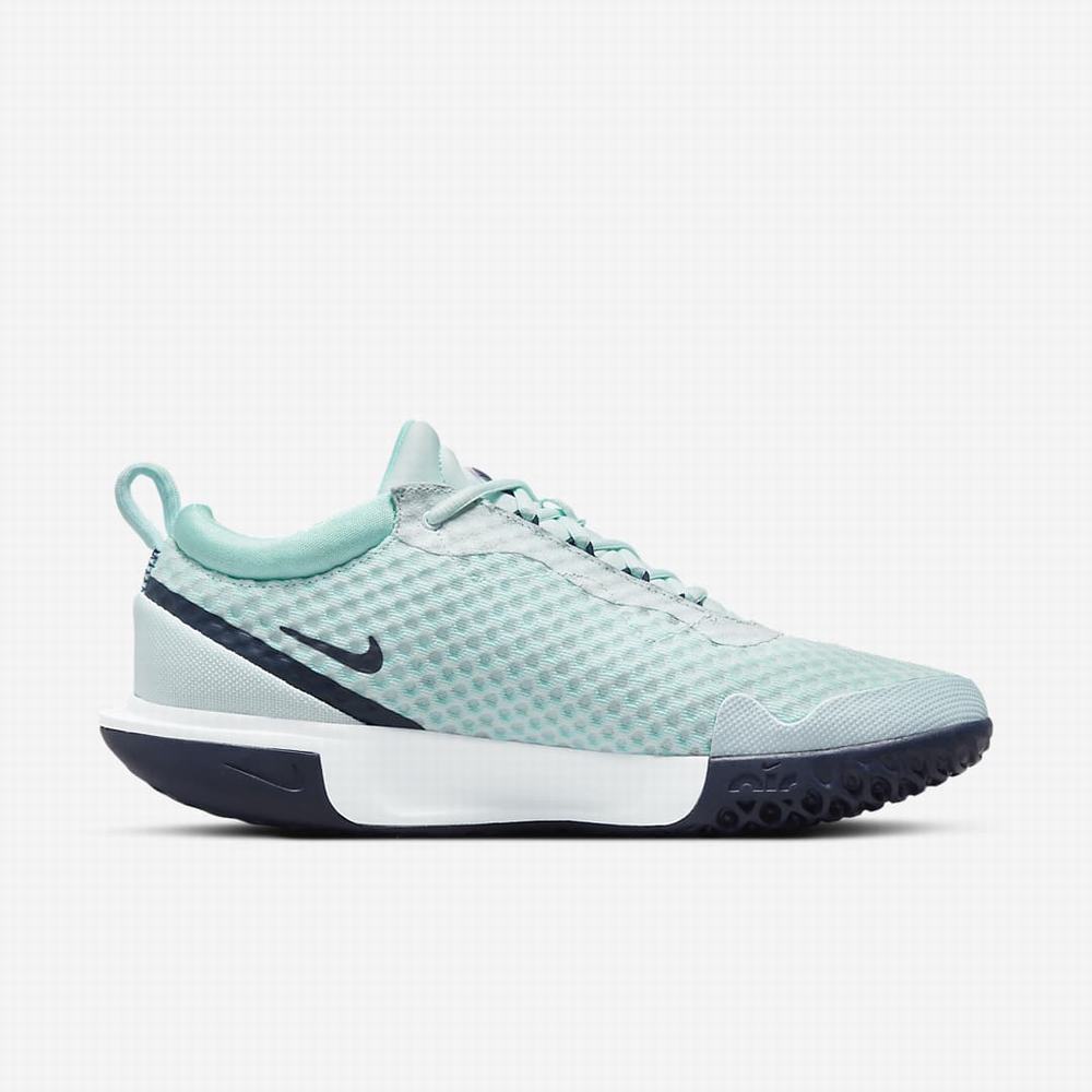 Tenisove Tenisky Nike NikeCourt Zoom Pro Hard Court Panske Modre Biele Námornícka Modrá | SK739806