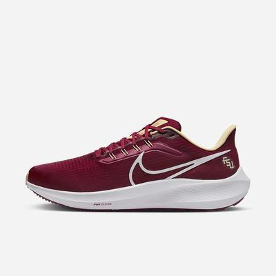 Bezecke Topanky Nike Air Zoom Pegasus 39 (Florida State) Panske Bordove Bordove Zlate Biele | SK637012